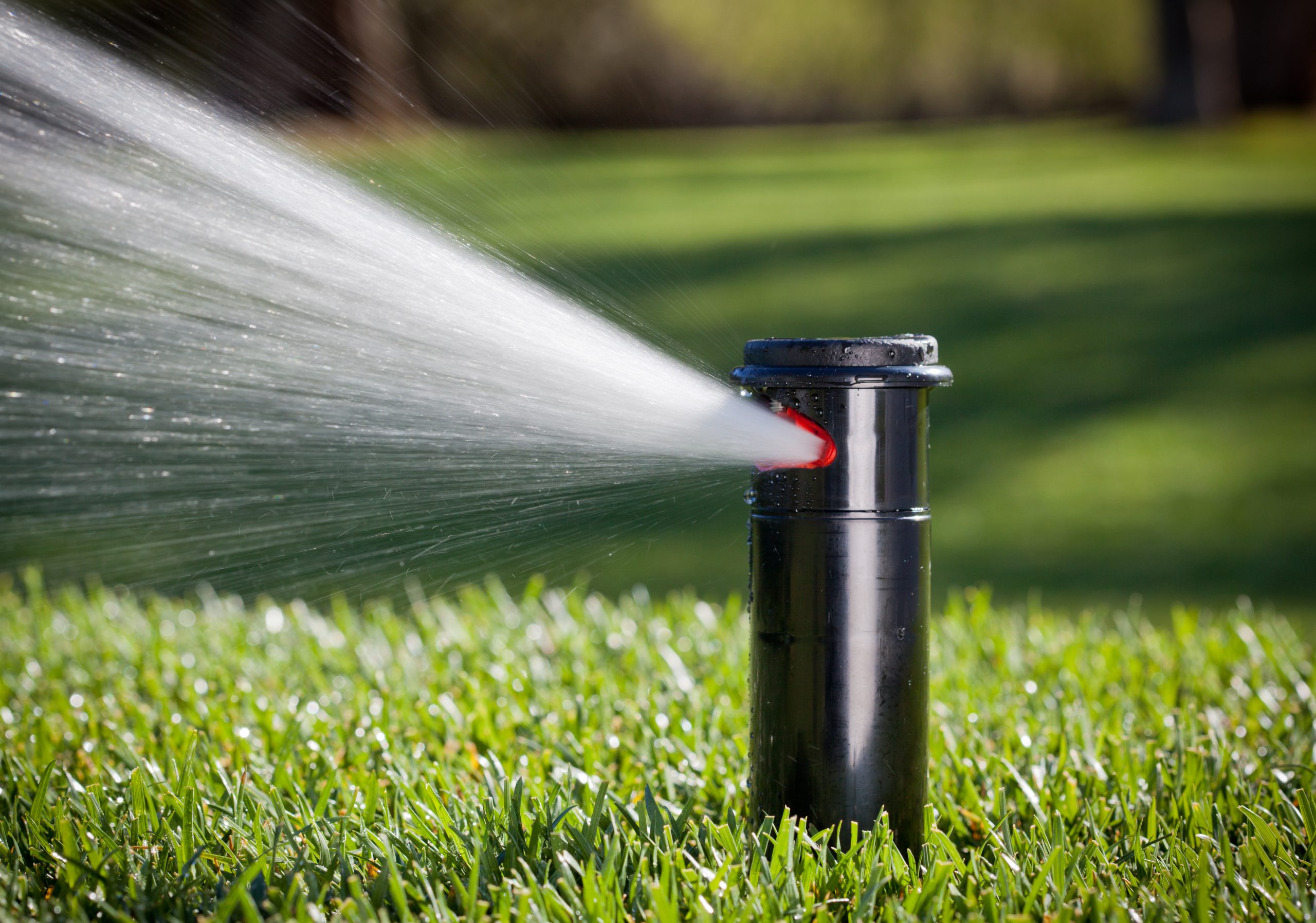 Image of a sprinkler with water coming out
