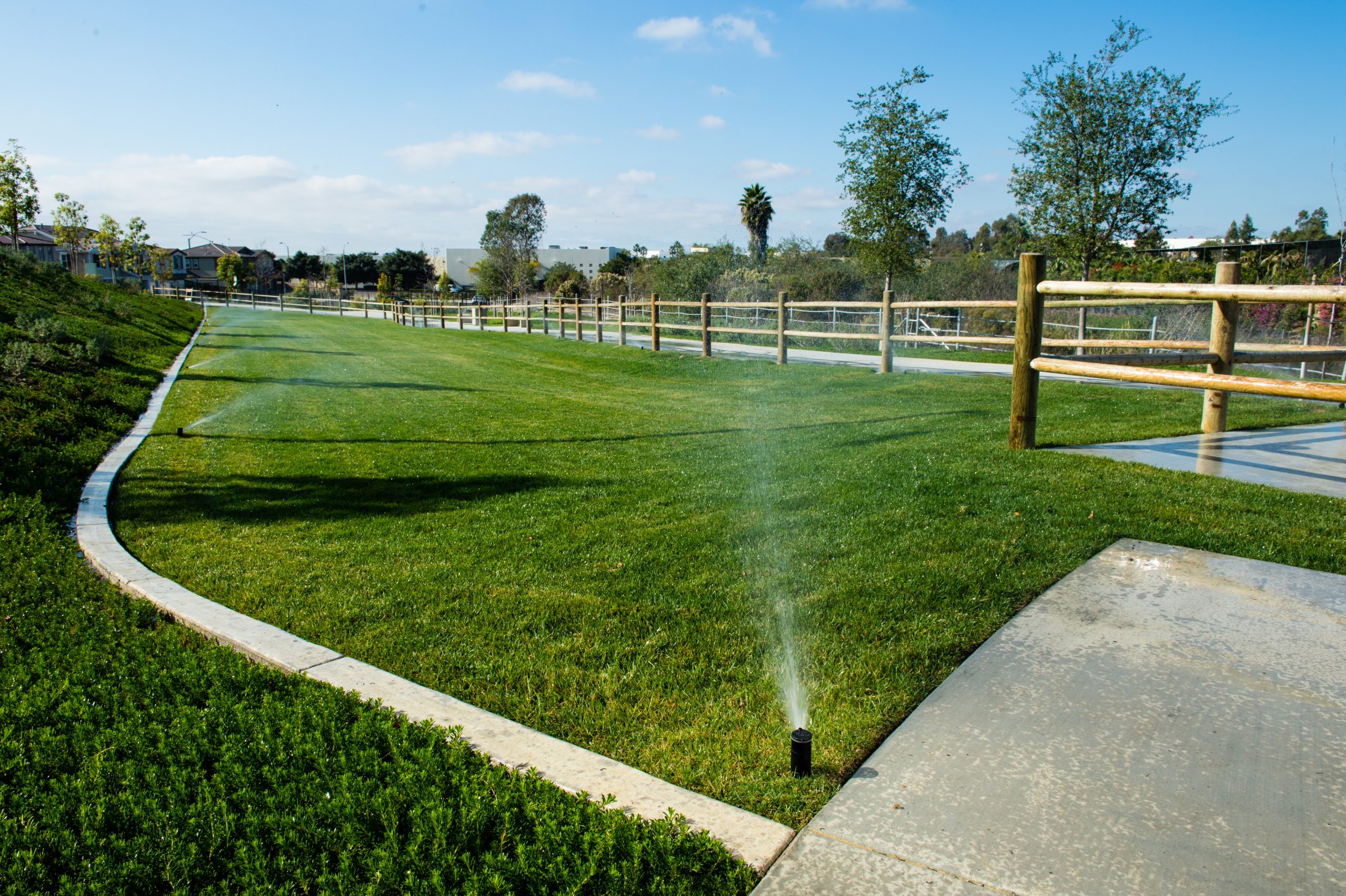 Sprinkler System Watering the grass