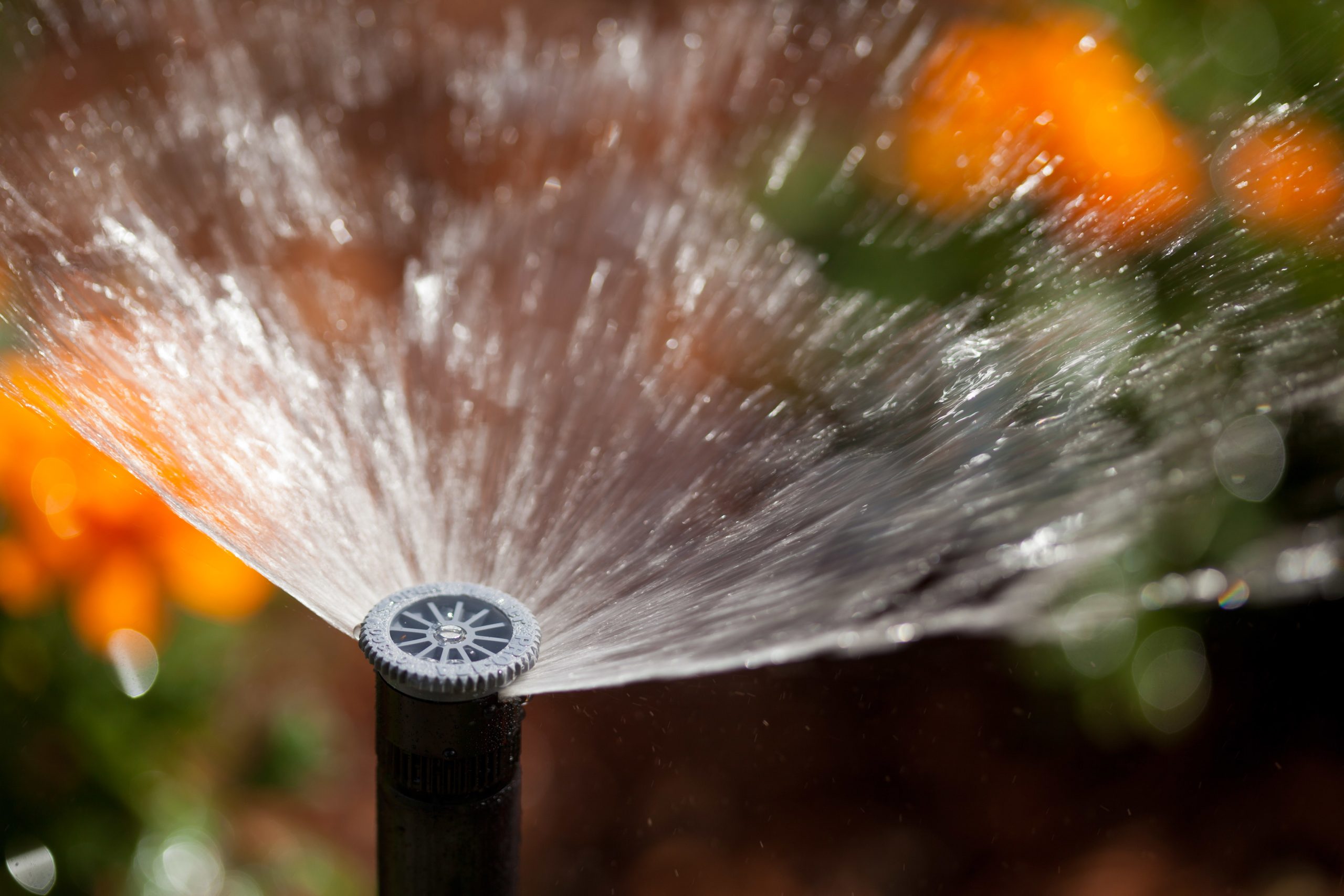 Sprinkler System Watering the grass