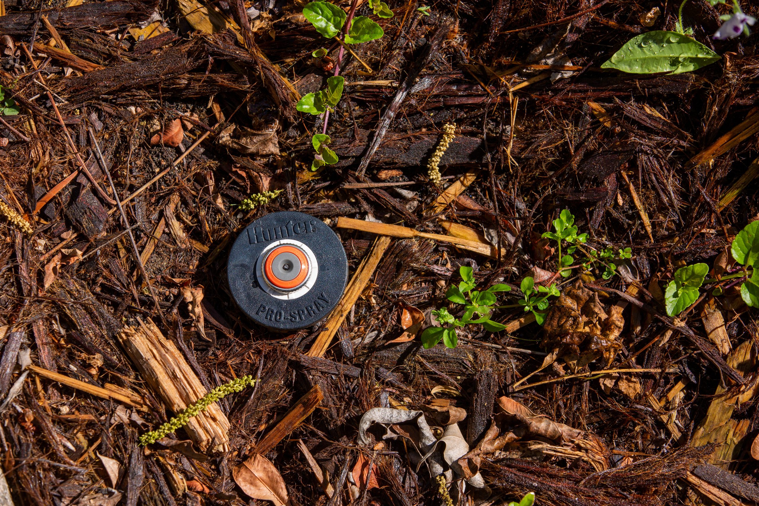 Image of a lawn sprinkler