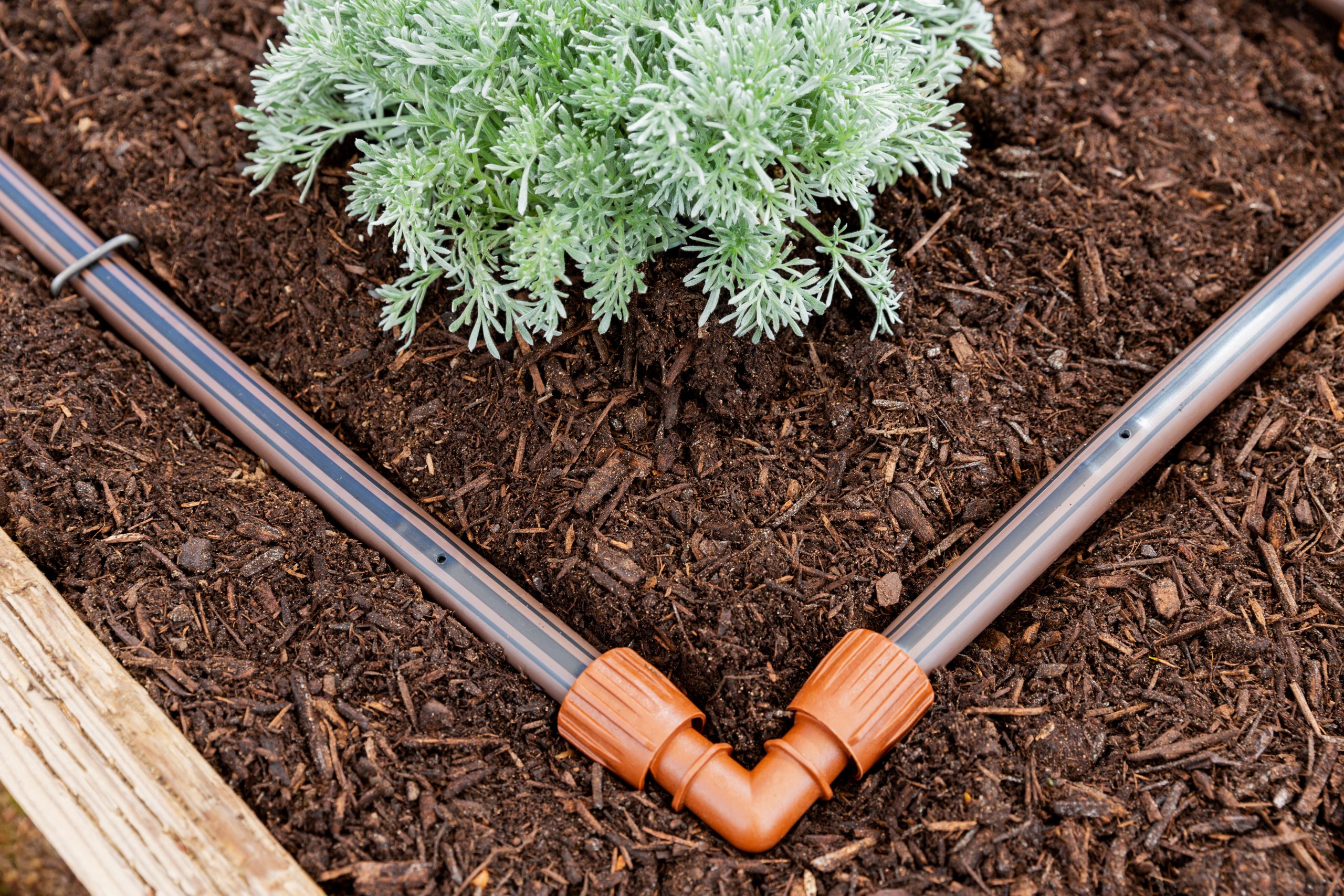 Image of a drip irrigation system
