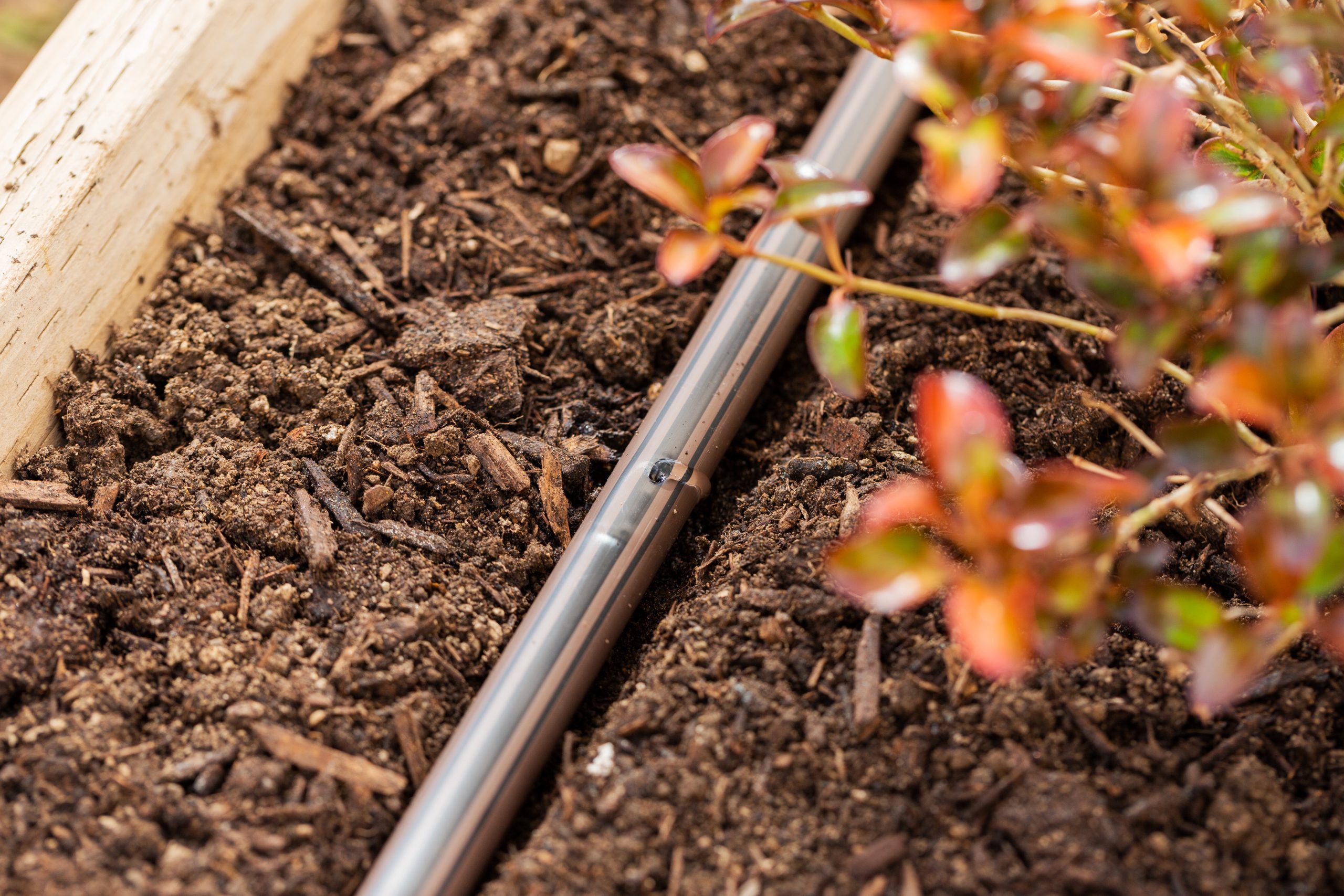 Drip Irrigation