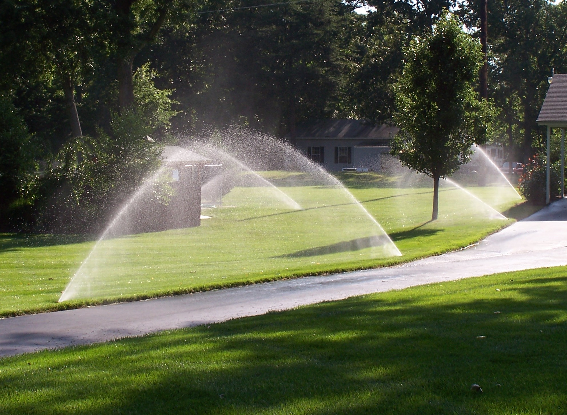 How often should I water my lawn?