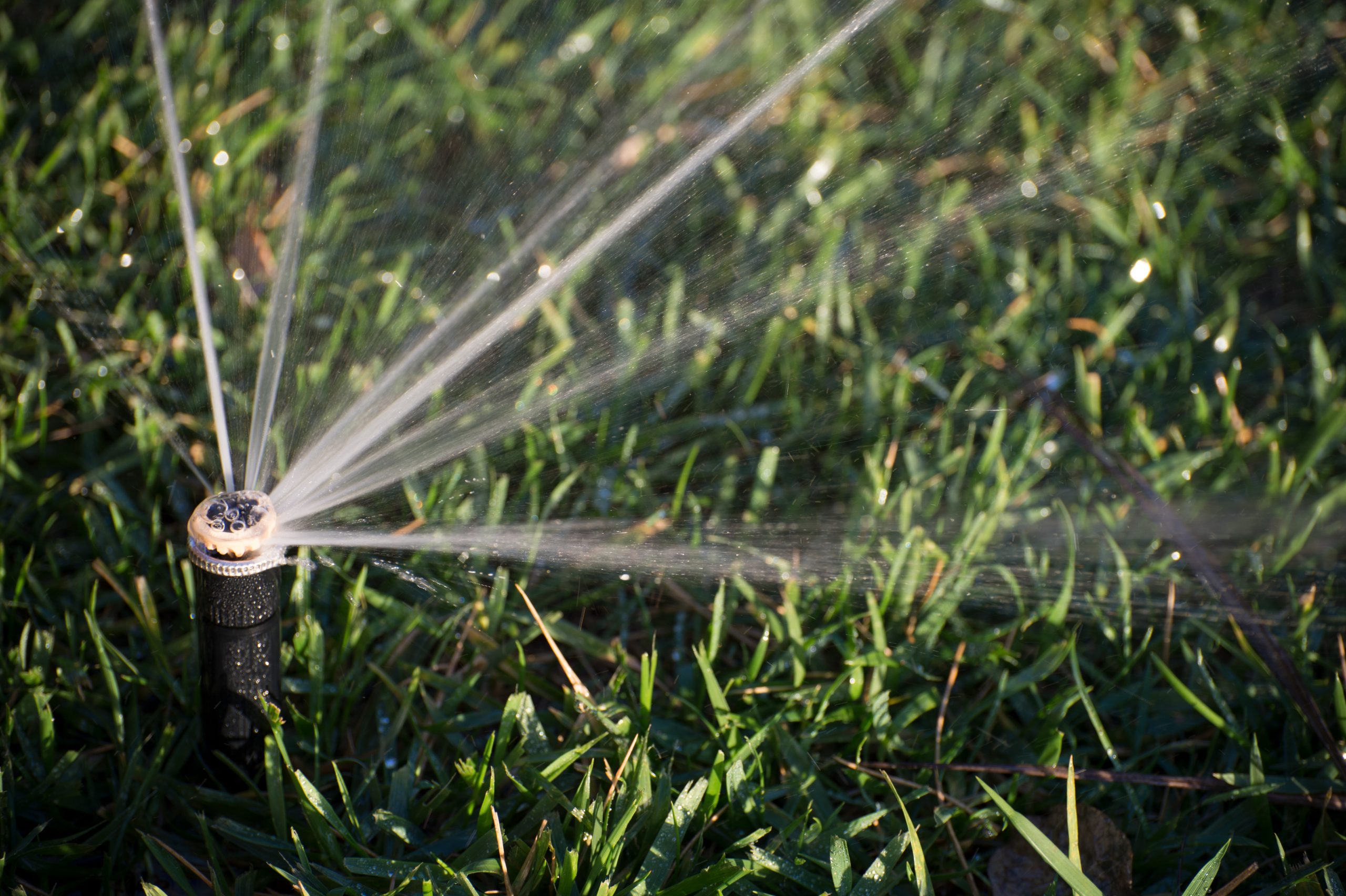 What lawn sprinkler is right for me?