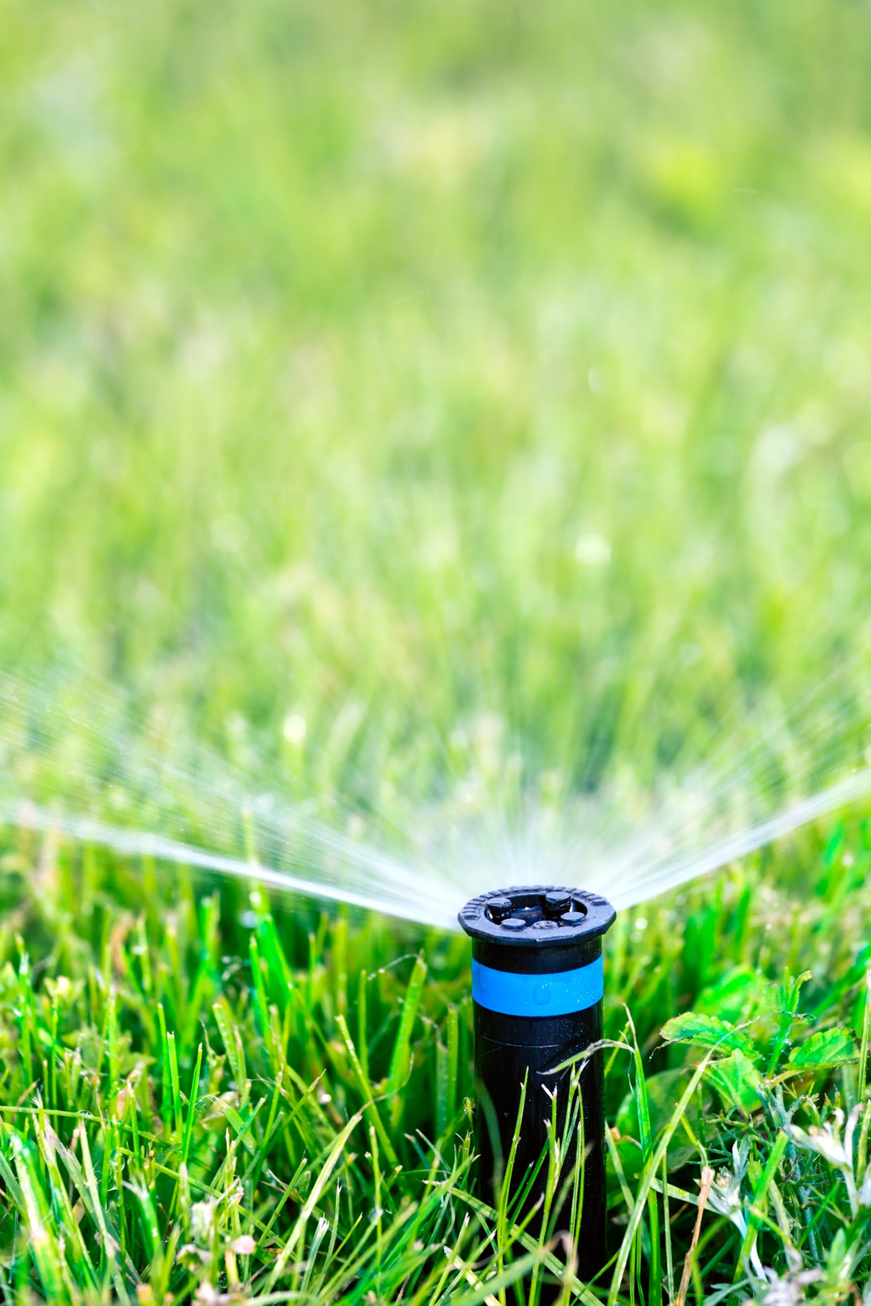 Image of a lawn sprinkler