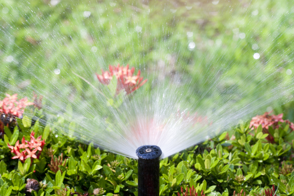 Image of a lawn sprinkler