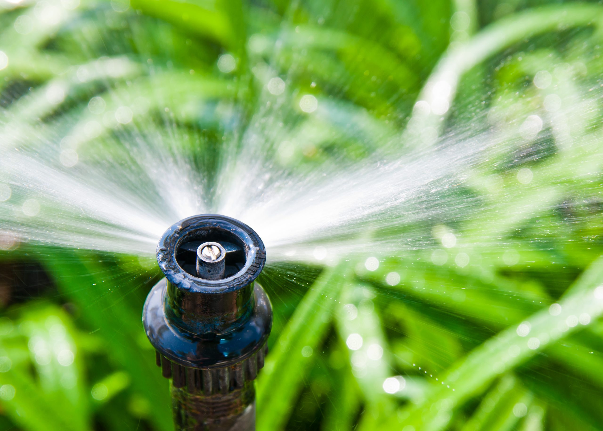 Image of a lawn sprinkler