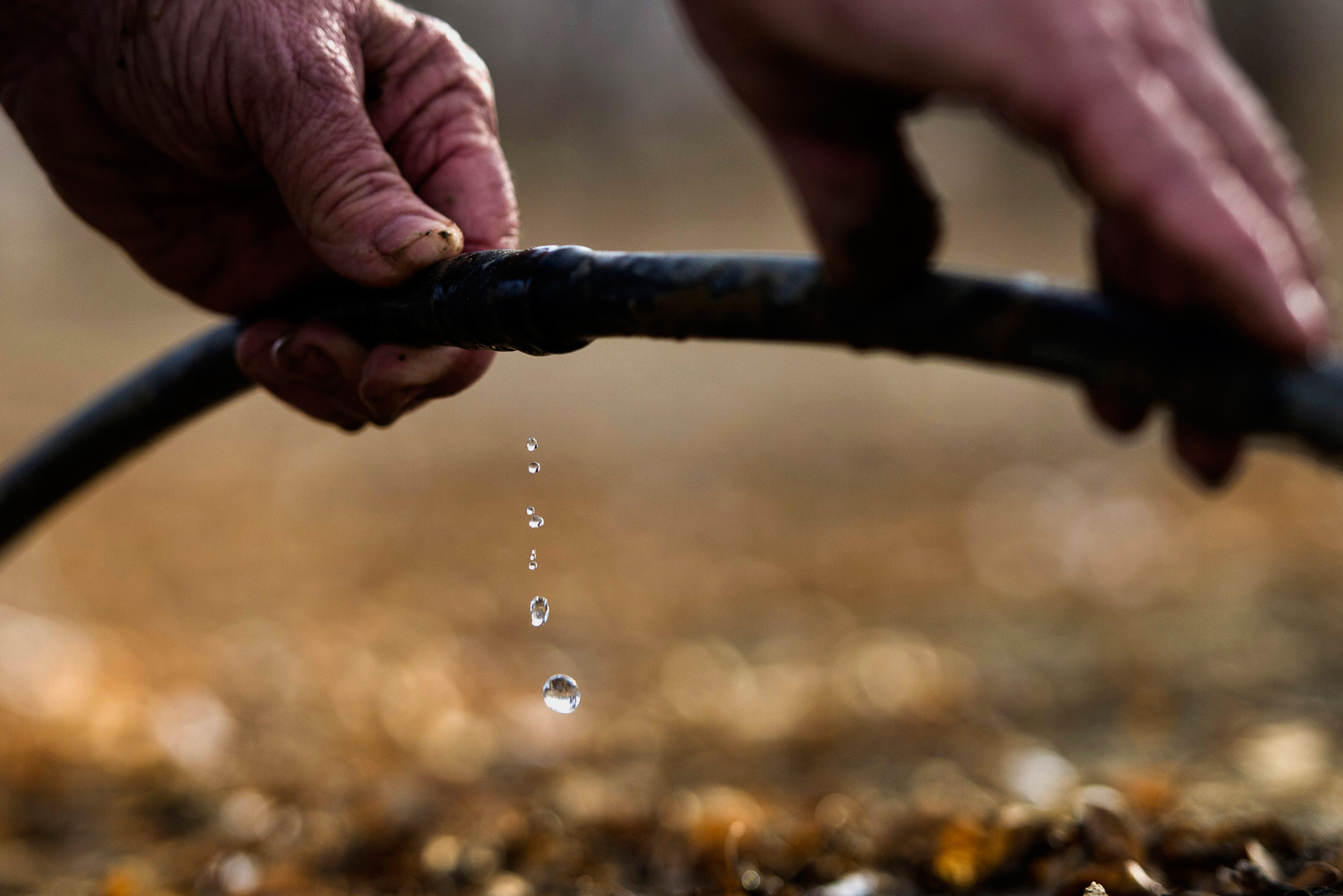 Image of a drip irrigation system