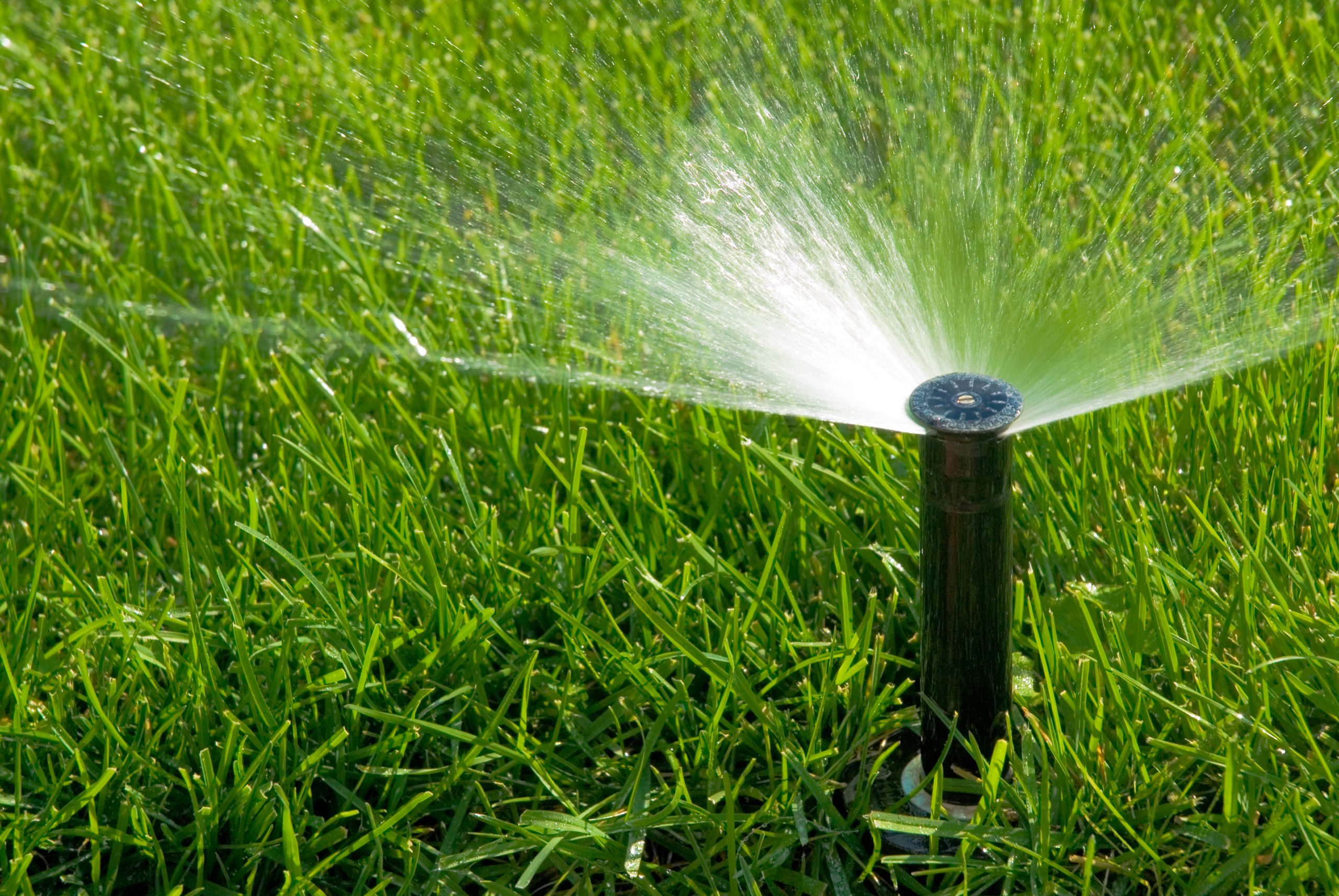 Image of a lawn sprinkler
