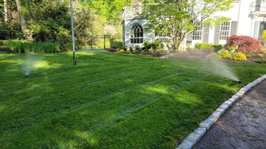 photo of an efficiently watered lawn.