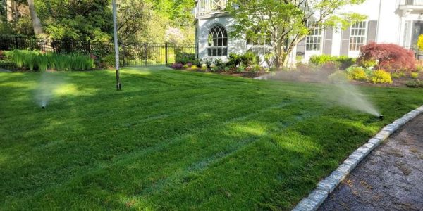 photo of an efficiently watered lawn.