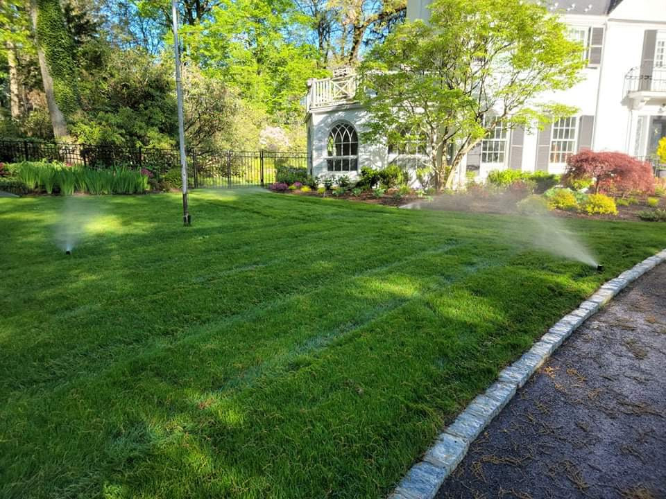 photo of an efficiently watered lawn.