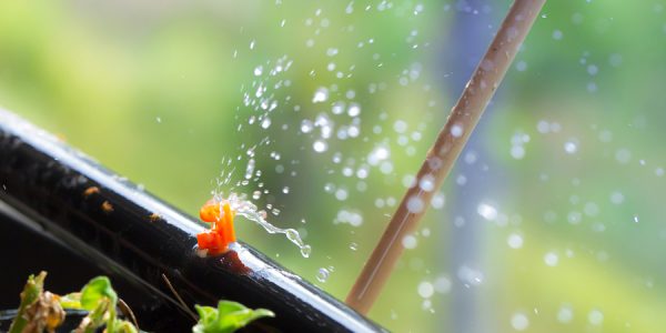 Image of Drip System Irrigation Installation