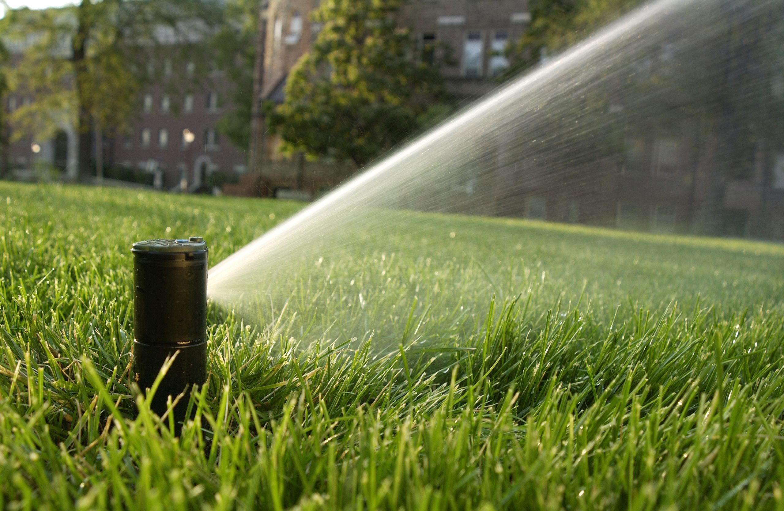 image of Residential Irrigation Sprinklers