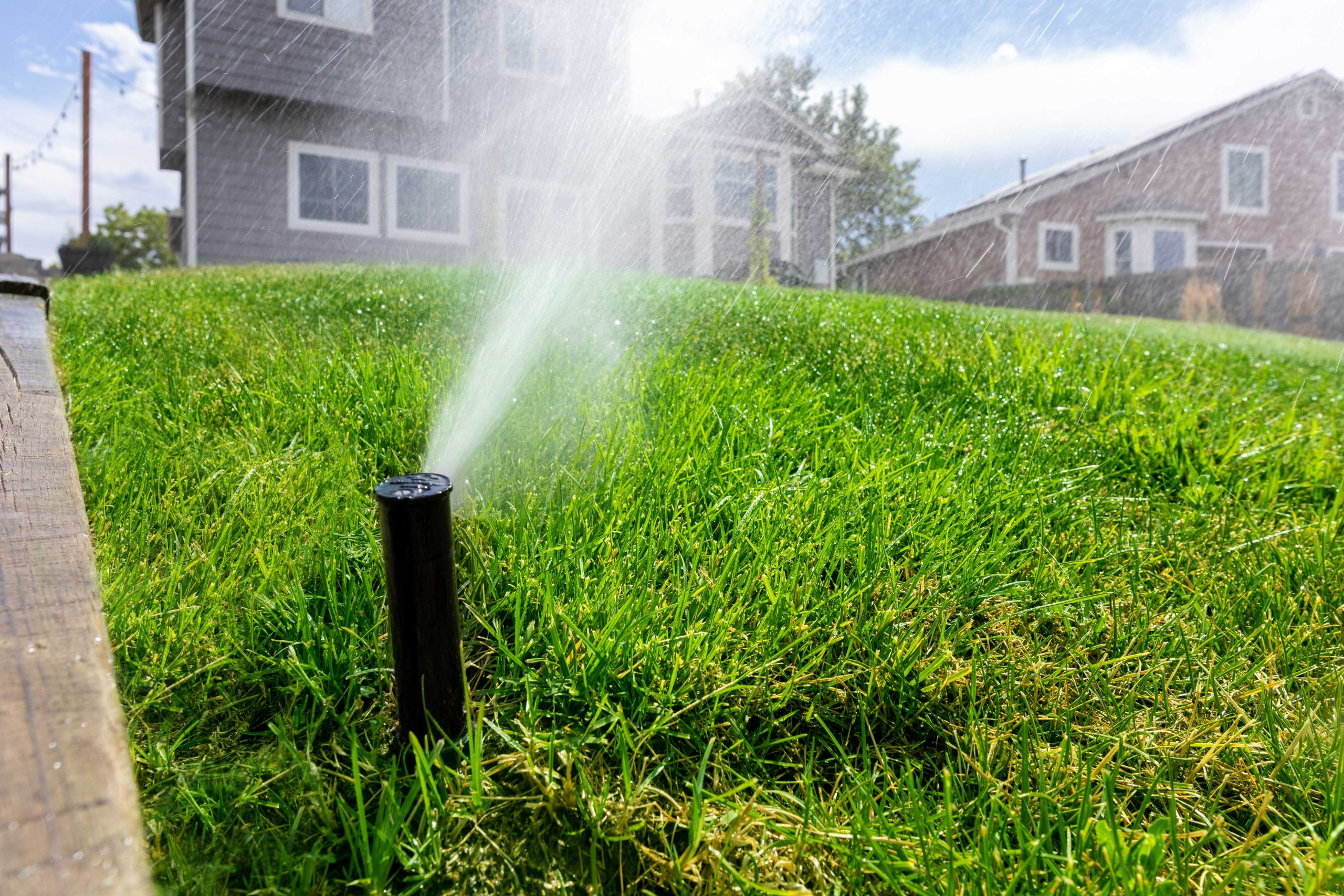 close up image of a lawn sprinkler