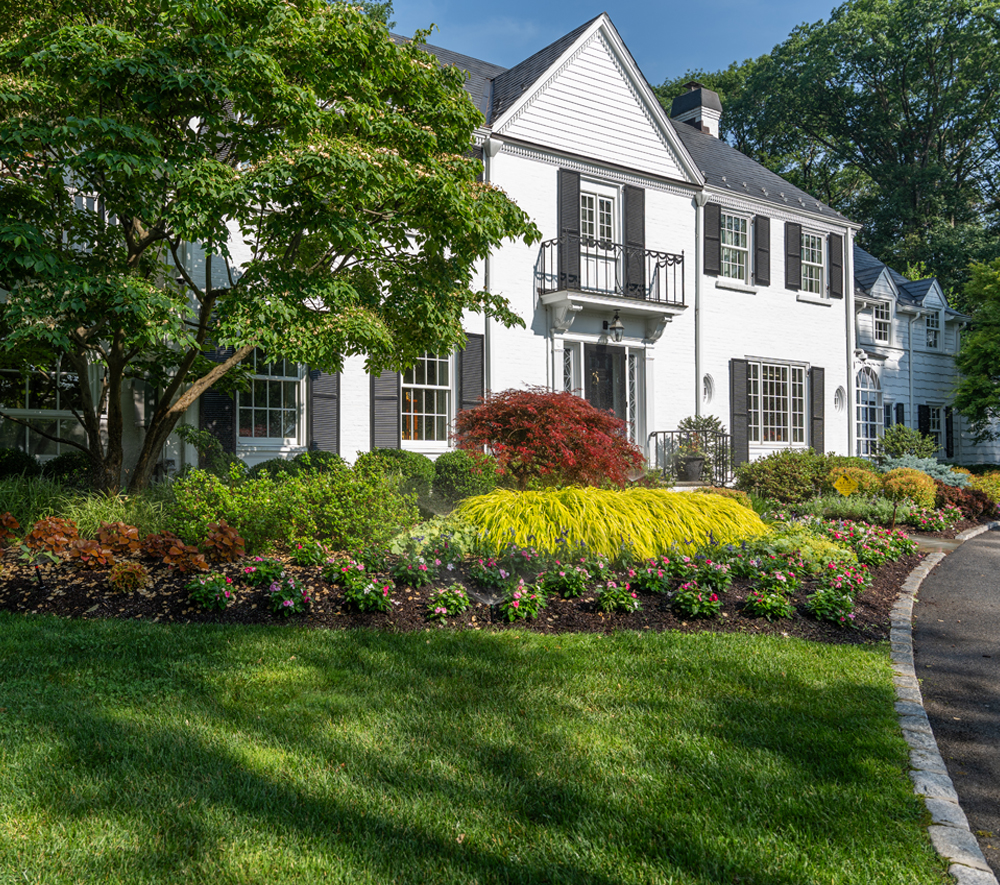 Image of a lawn