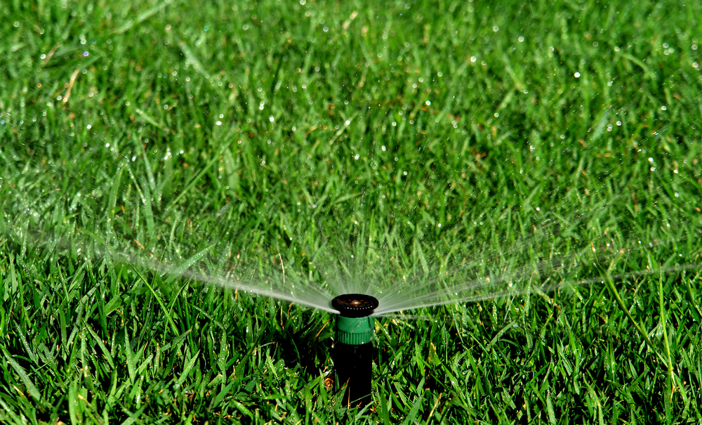 Sprinkler System Watering the grass