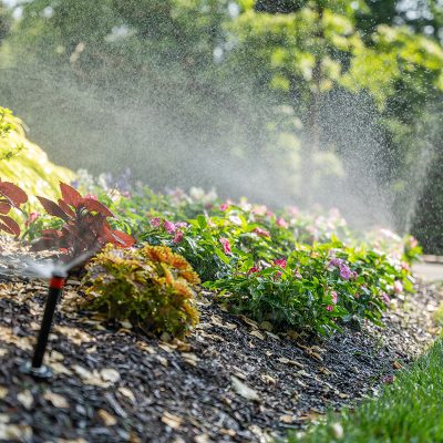 Irrigation