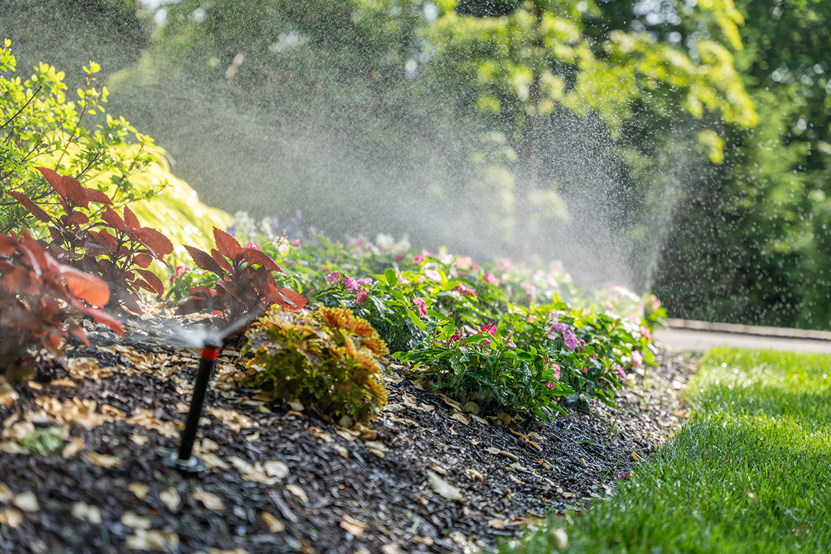 Irrigation