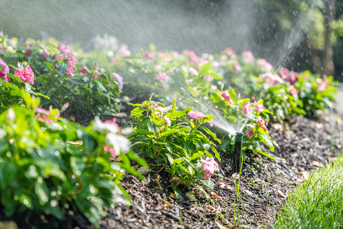 Sprinkler and Irrigation Systems