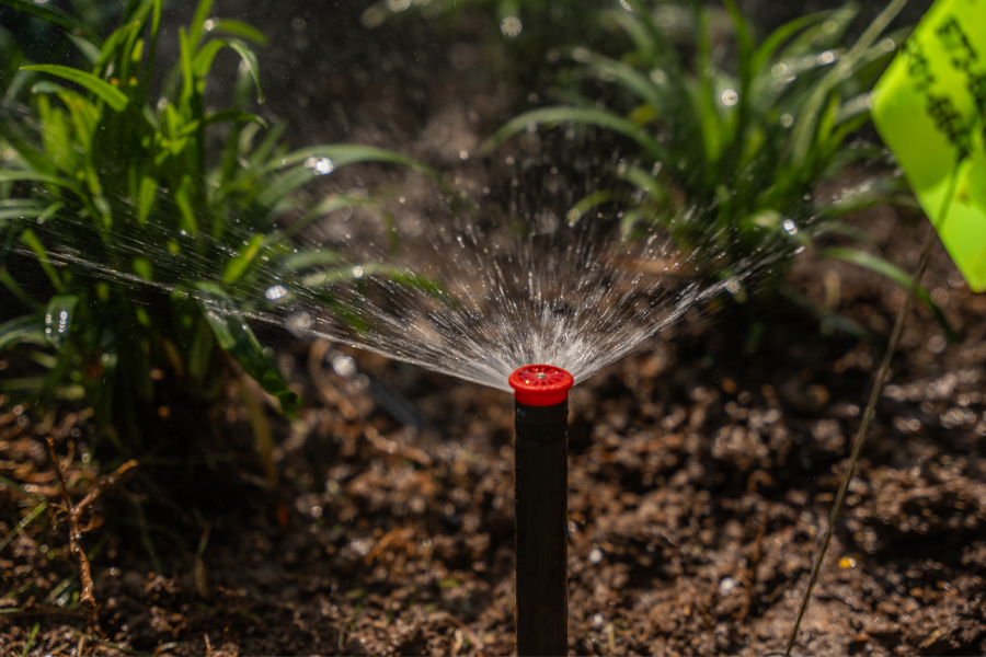 Image of Drip System Irrigation Installation