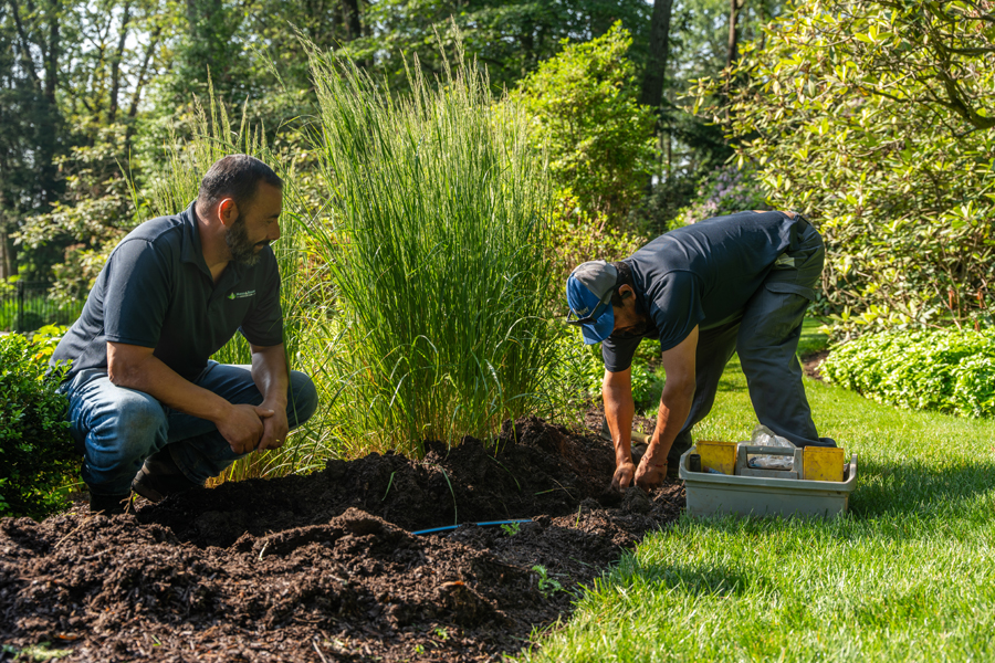 a team of workers installing an irrigation system.