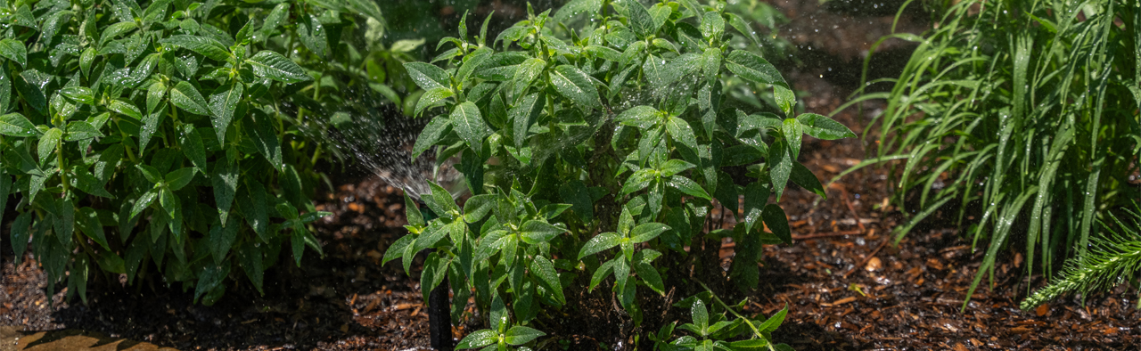 Sprinkler and Irrigation Systems