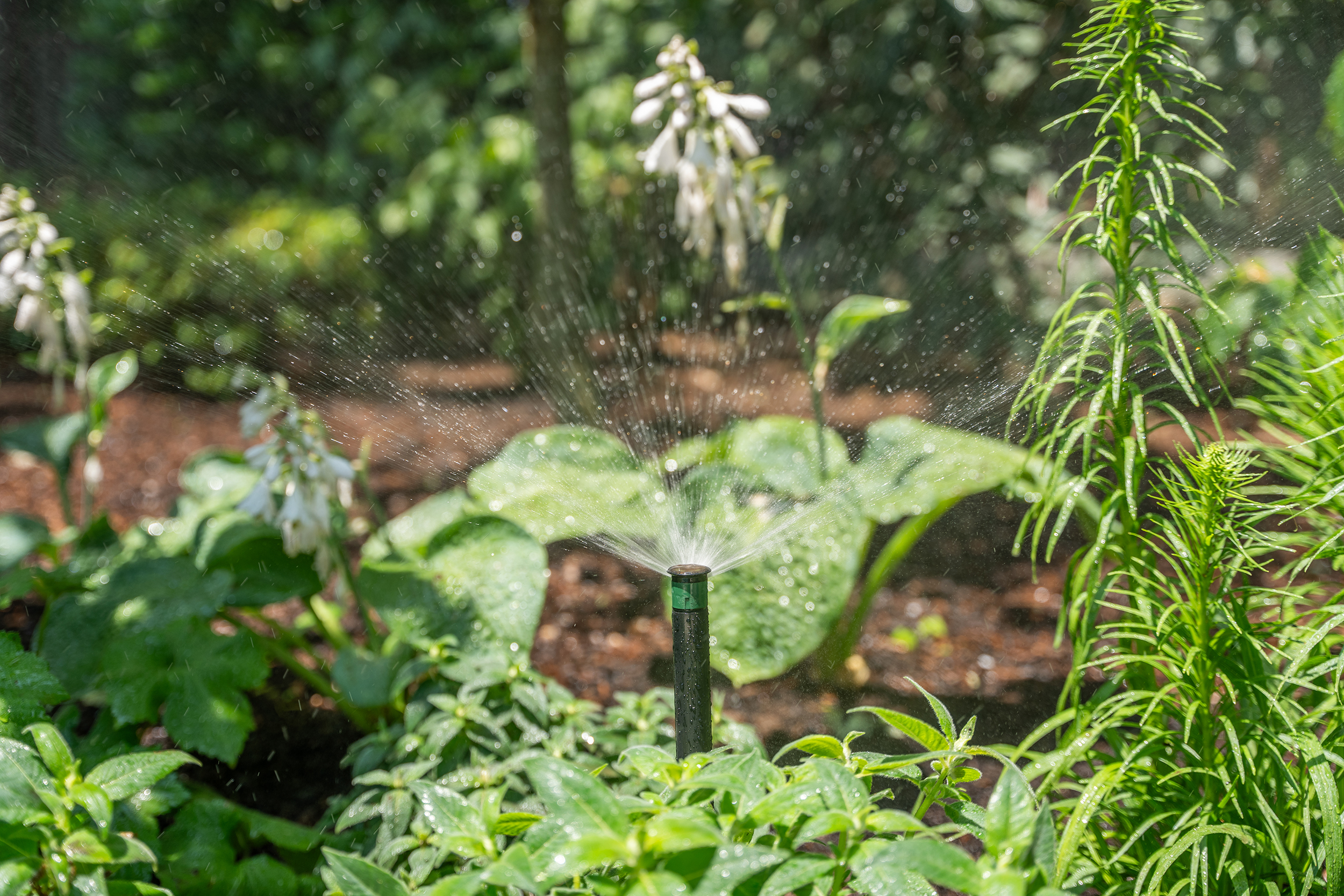 Smart Irrigation
