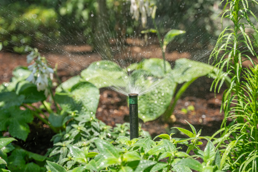 Irrigation Services