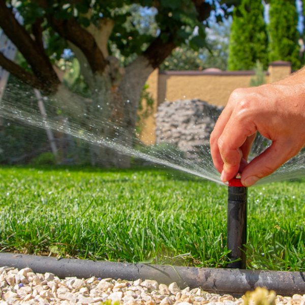 Irrigation Installation