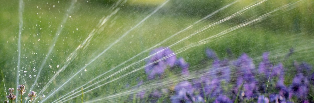 Springtime Irrigation Installation